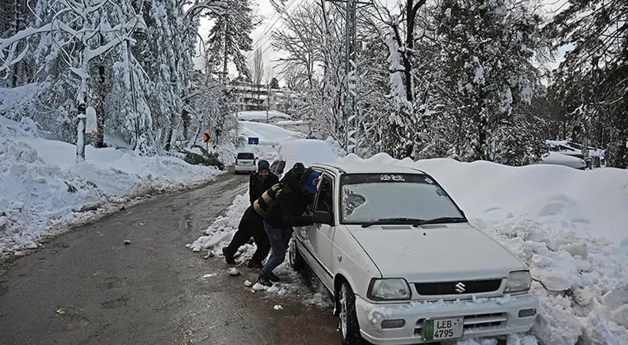 مری