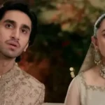 دیکھ ذرا پیار سے