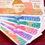 پاکستانی کرنسی نوٹس