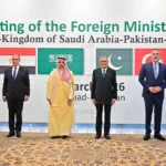 4 ملکی