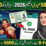 مریم نواز