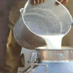 دودھ کی بالٹی