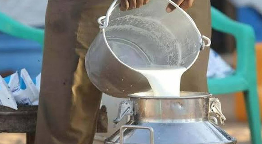 دودھ کی بالٹی