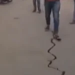 انڈونیشیا