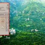 شادی