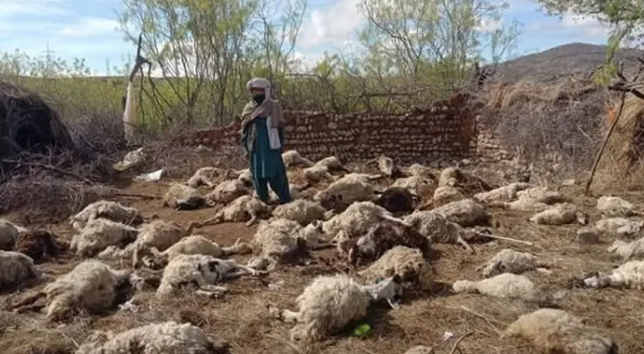 آسمانی بجلی