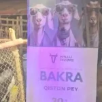 بکرا قسطوں پر