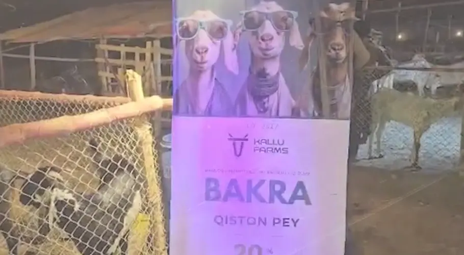 بکرا قسطوں پر
