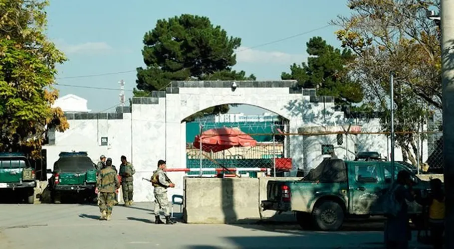 پاکستانی