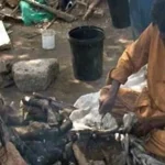 سری پائے
