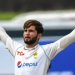 شاہین
