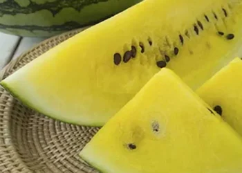 حافظ آباد