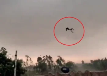 بریلی شریف کے ننھے کا مفت فضائی سفر! دیکھیں ہوا میں اڑتے شخص کی وائرل ویڈیو